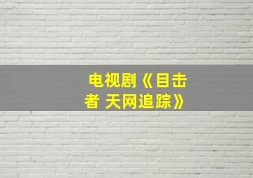 电视剧《目击者 天网追踪》